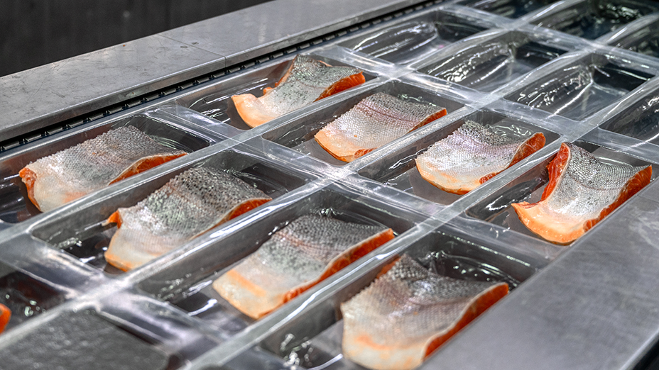 Trout pieces and wedges lie on a conveyor in trays for vacuum packing.