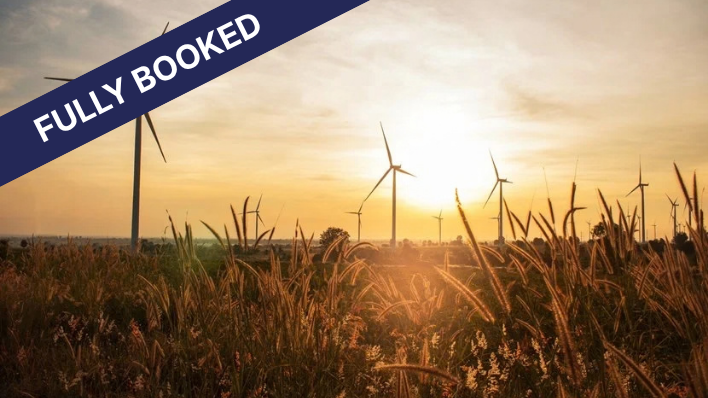 Wind turbines and solar morning