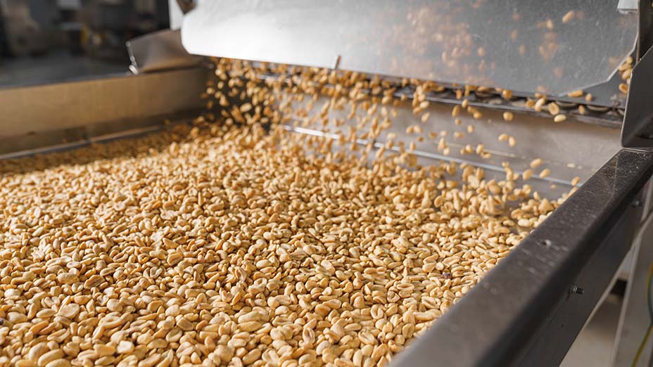 Peanut butter production equipment