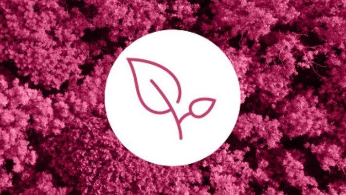 Icon of leaf in pink over pink-washed image of tree tops