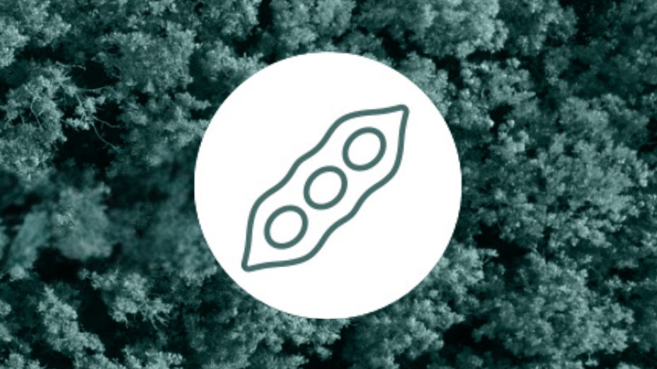 Pea icon in blue over blue-washed image of tree tops