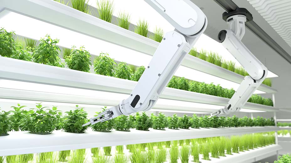 Smart robotic arm working in vertical farm.
