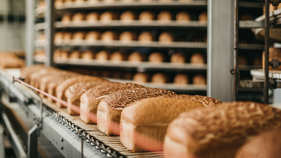 Loafs of bread in a bakery on an automated conveyor belt