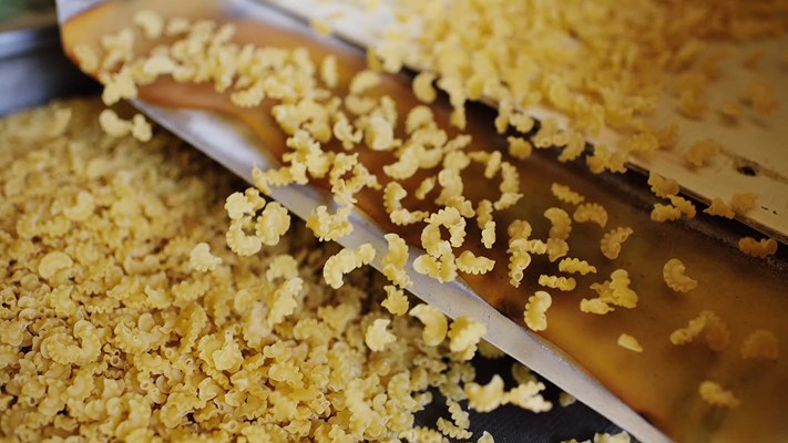 Food processing plant for pasta production