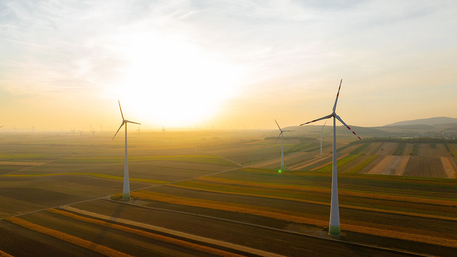 Wind turbines harnessing wind power during sunrise, set in an expansive agricultural landscape