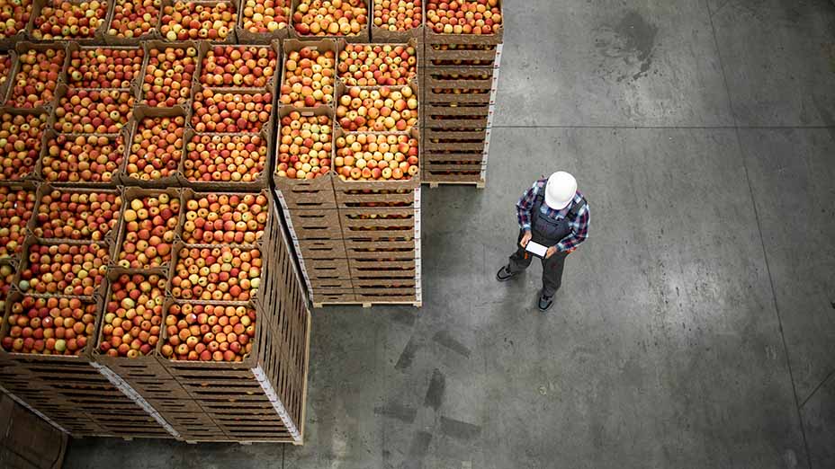 Overhead view of worker standing by apple fruit crates in organic food factory warehouse