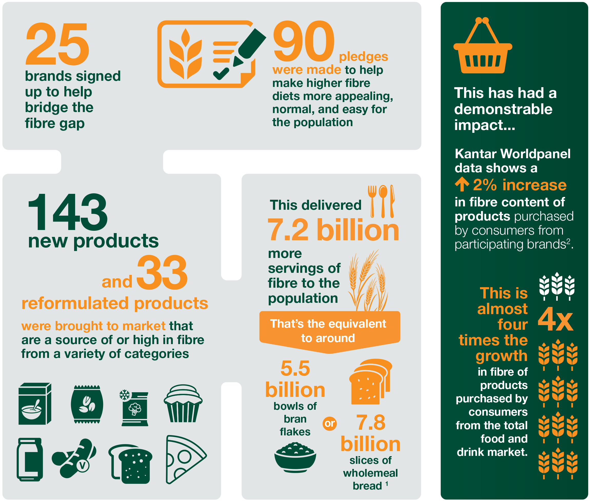 action-on-fibre-infographic-2023.png