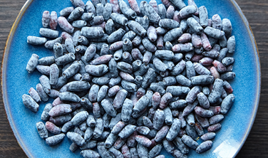 Blue honeyberry berries on plate, top view, closeup