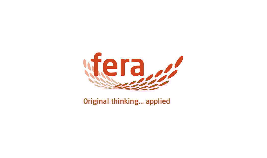 Company image