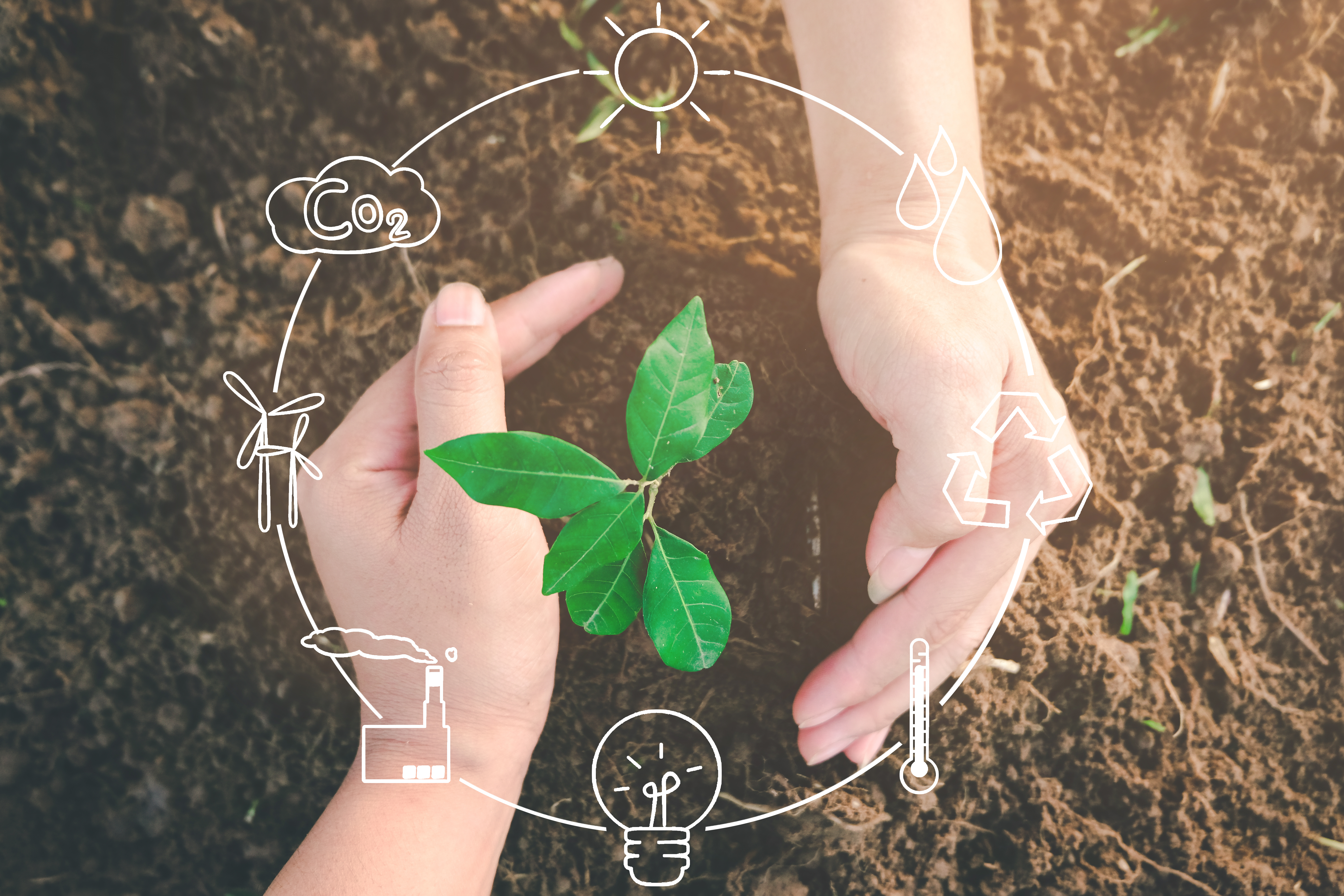 Seedling growing from fertile soil was gently encircled with hands showing recycling icon symbol, Concept of environmental conservation and protection of our world sustainable.