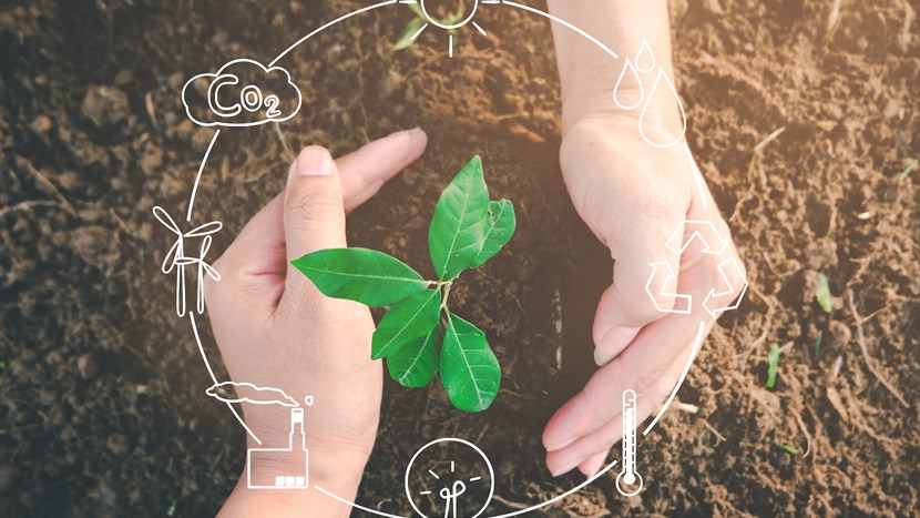 Seedling growing from fertile soil was gently encircled with hands showing recycling icon symbol, Concept of environmental conservation and protection of our world sustainable.