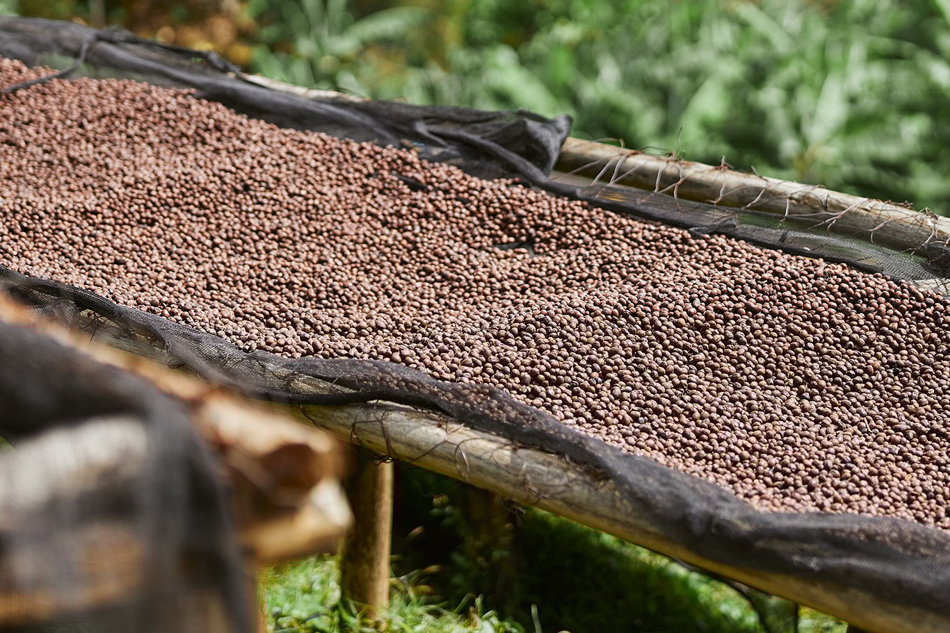 Sustainability Breakfast: Forests and Food: How to procure more sustainable commodities