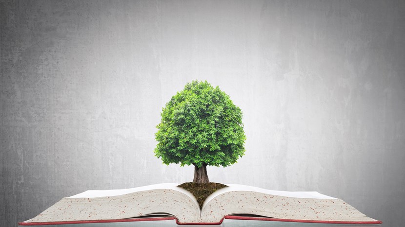 Tree of knowledge