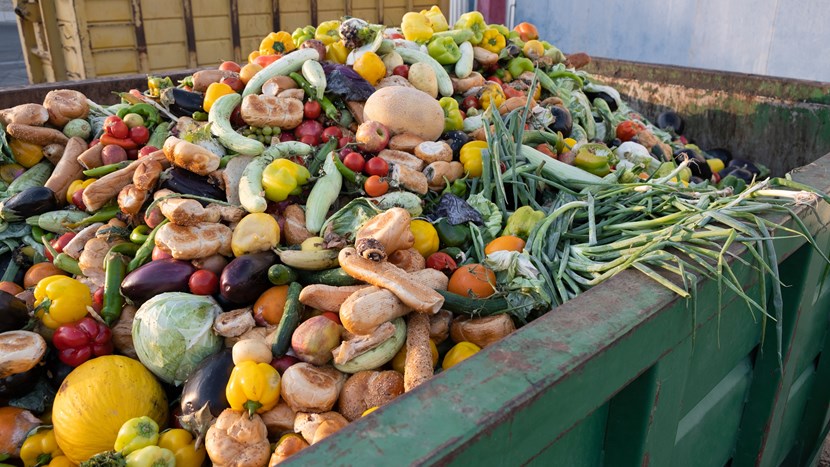 Mix Expired Vegetables and fruits in a huge container