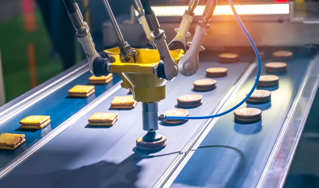 Production of biscuits in a manufacture factory for the food industry