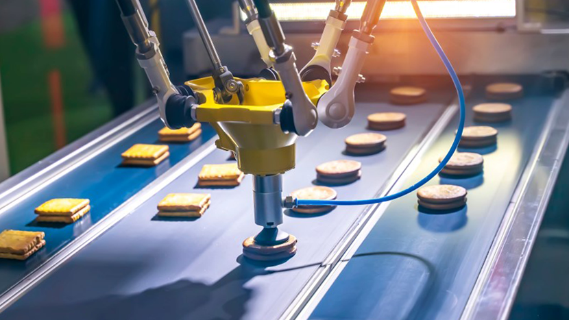 Production of biscuits in a manufacture factory for the food industry