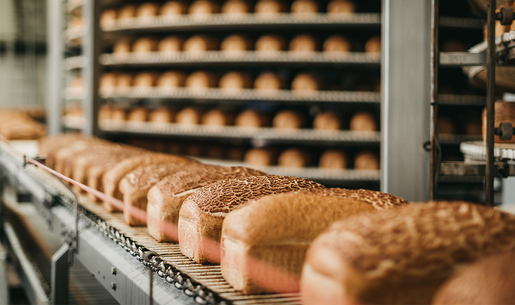 Loafs of bread in a bakery on a conveyor belt