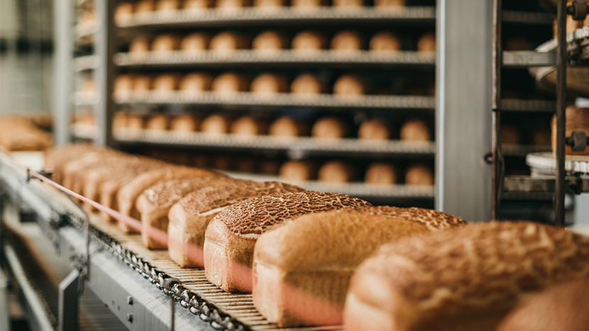 Loafs of bread in a bakery on a conveyor belt
