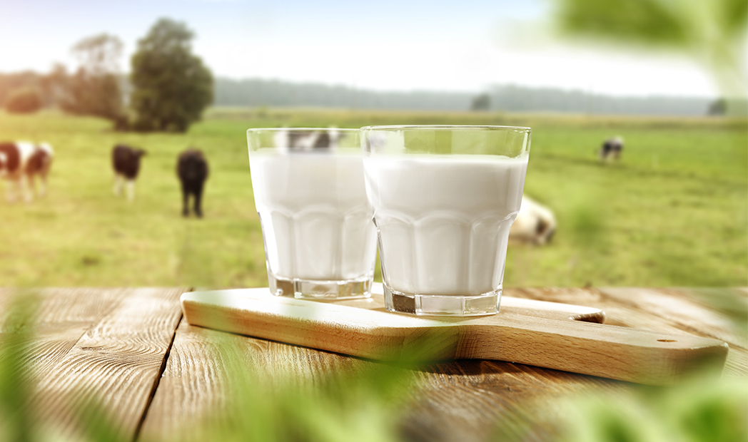 Fair Work Arla Case Study