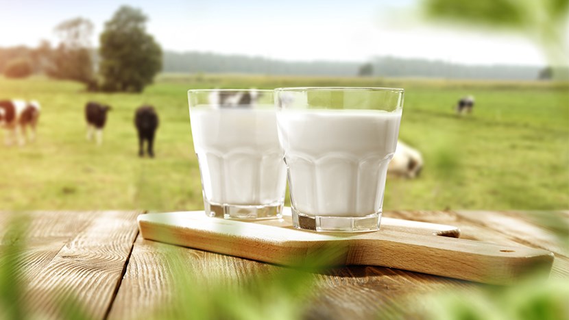 Fair Work Arla Case Study