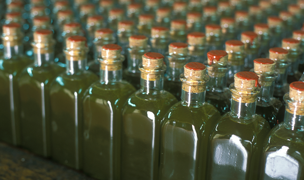 glass olive oil bottles filled with organic extra virgin olive oil