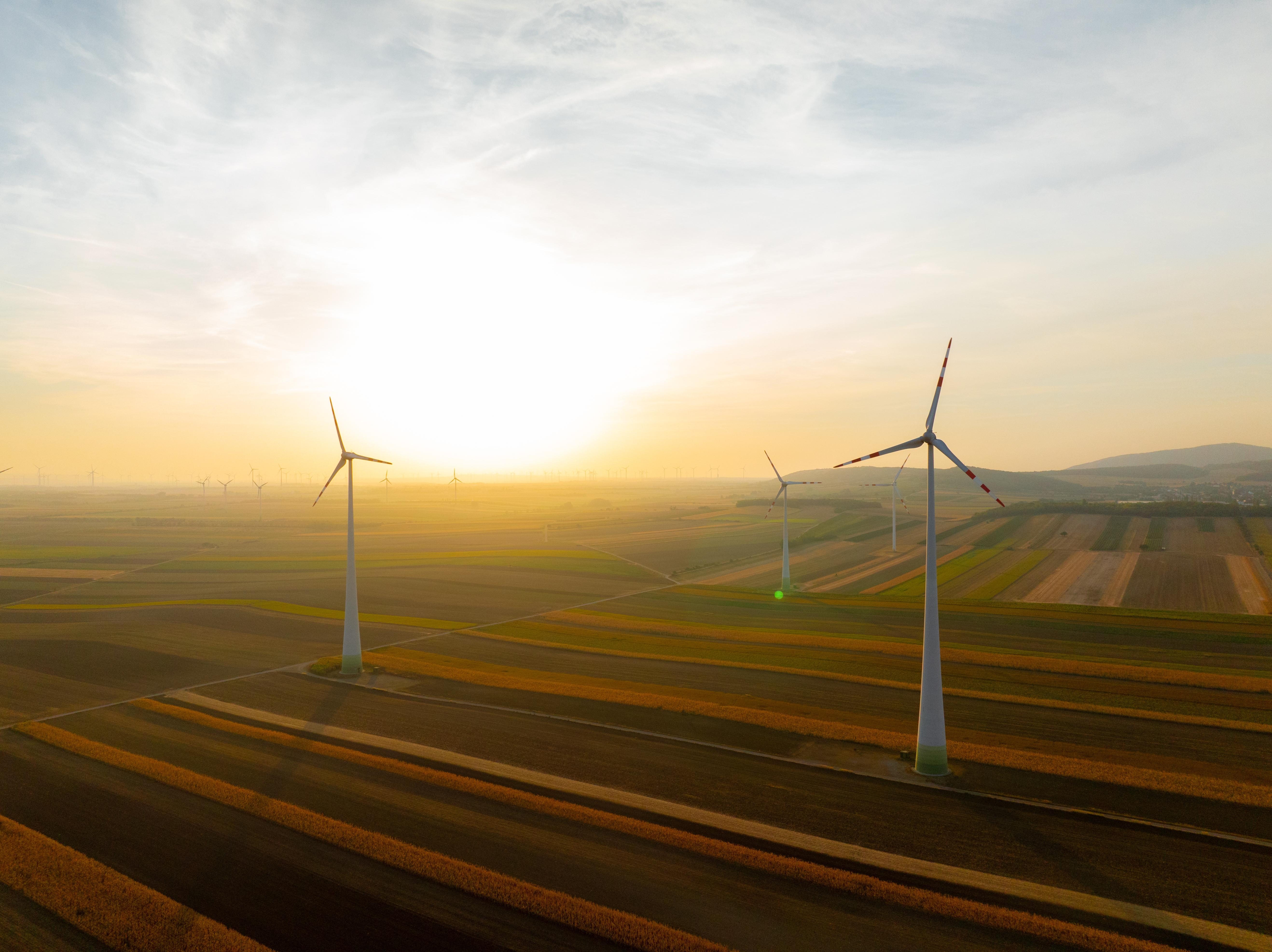 Free Webinar - Carbon Literacy: Empowering your organisation for Net Zero