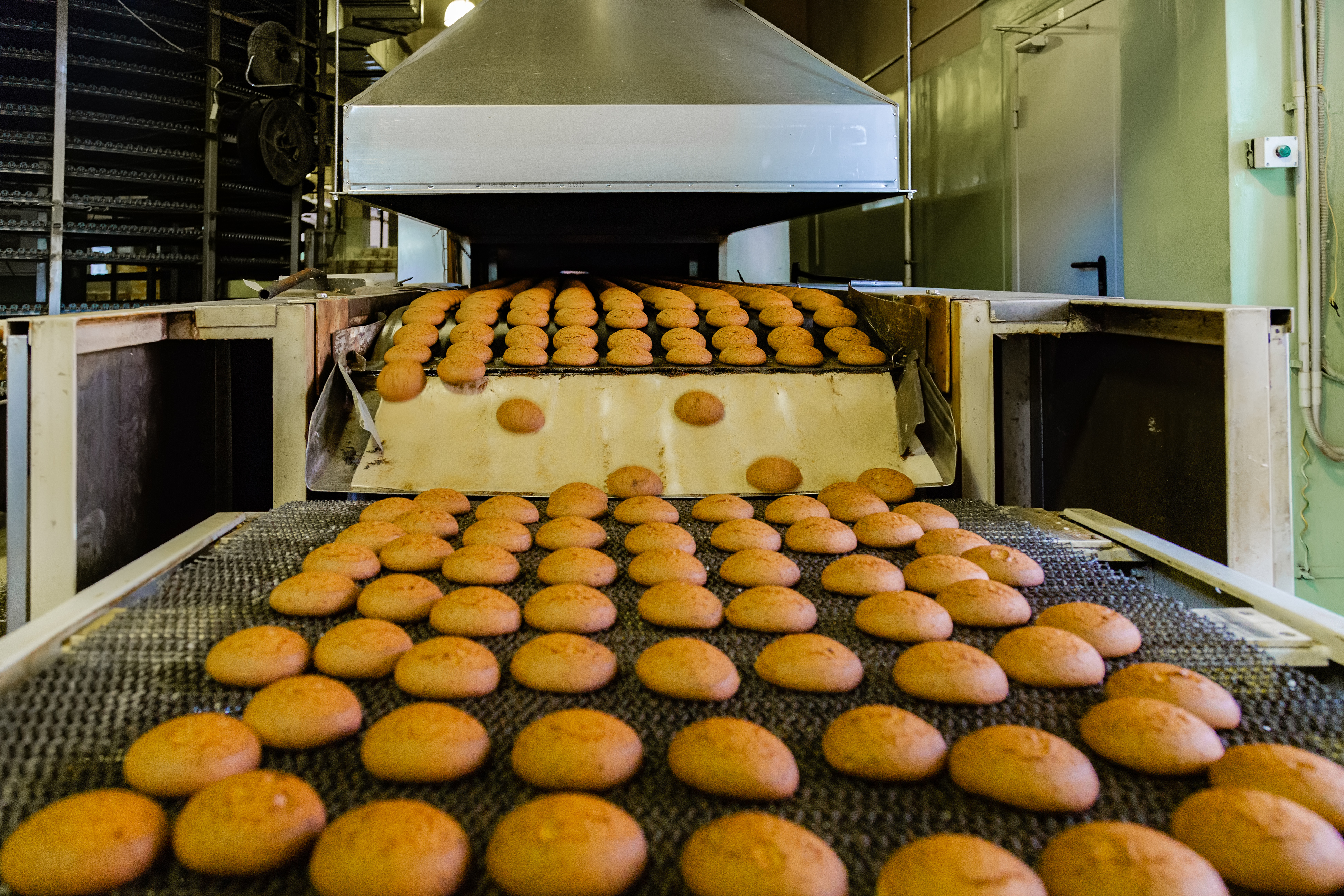 Production line of baking cookies