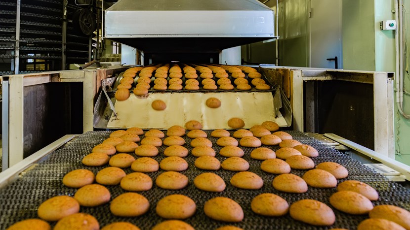 Production line of baking cookies