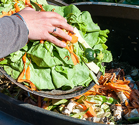 food waste