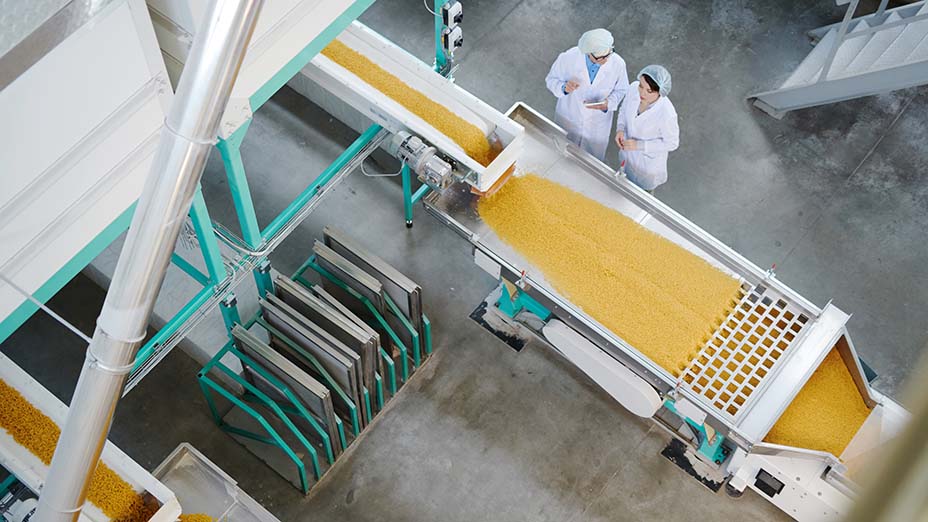 food production quality inspection in factory