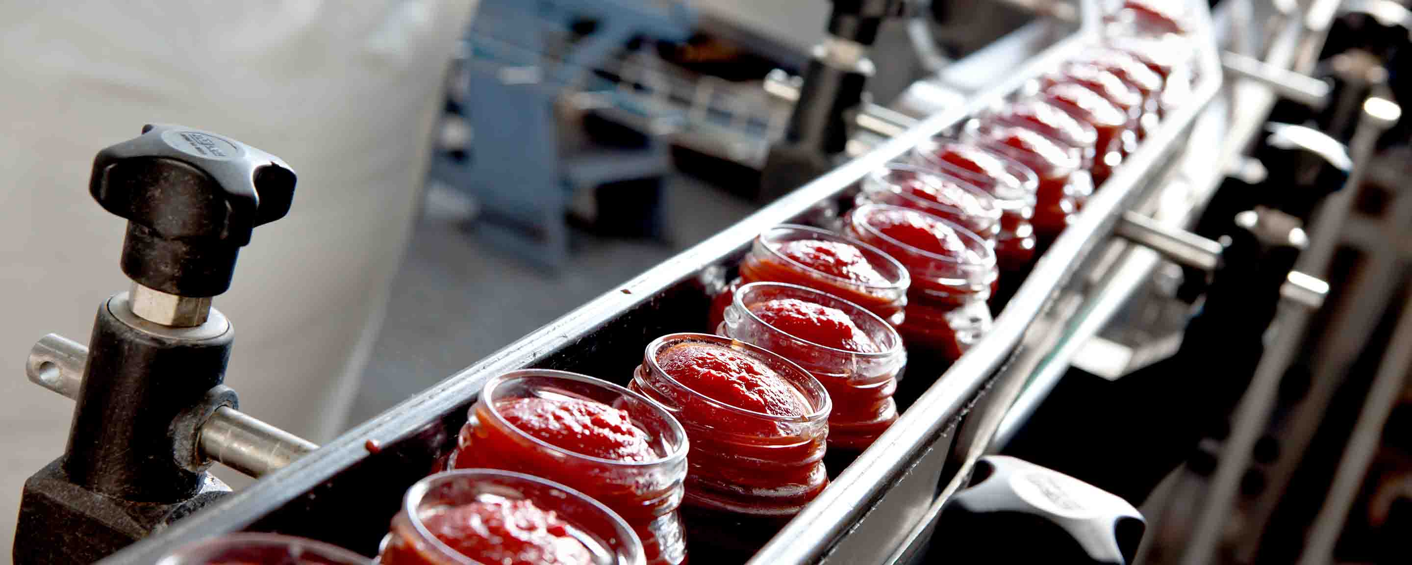 industrial production of tomatoes and tomato paste