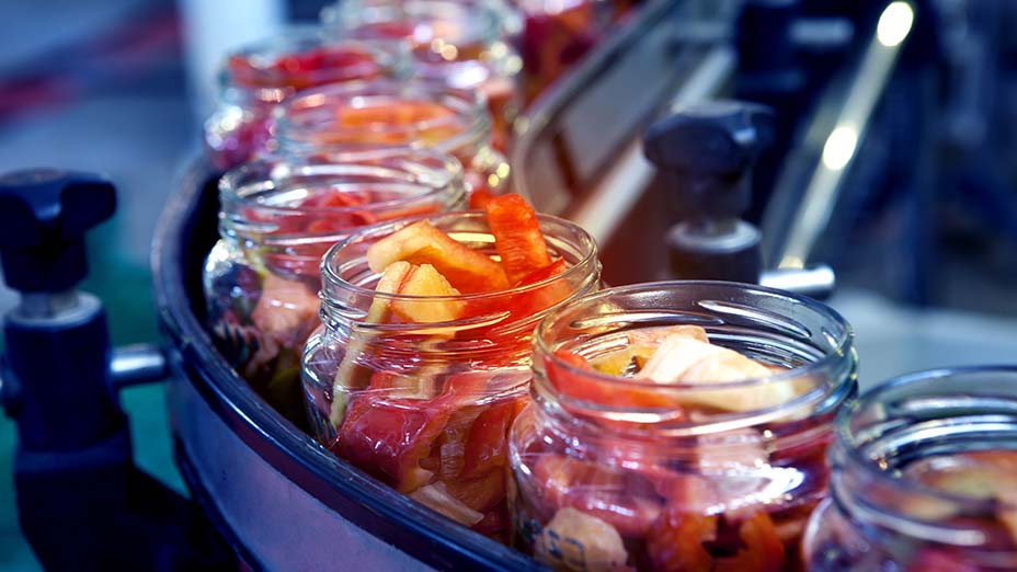 production of canned bell peppers