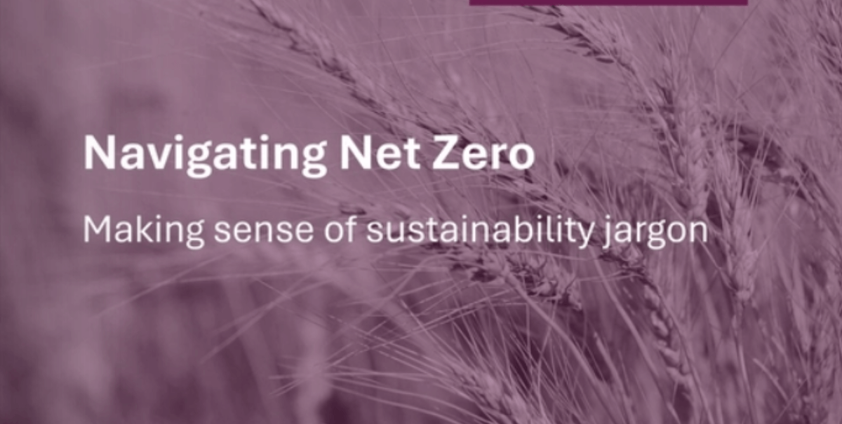 Resources 1 - Making sense of sustainability jargon