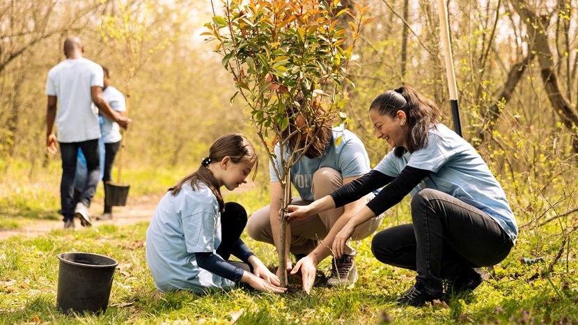 Volunteers and child planting tree for reforestation